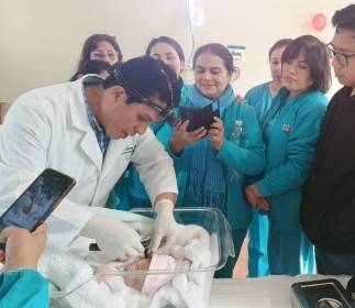 Fundacion Sanitas